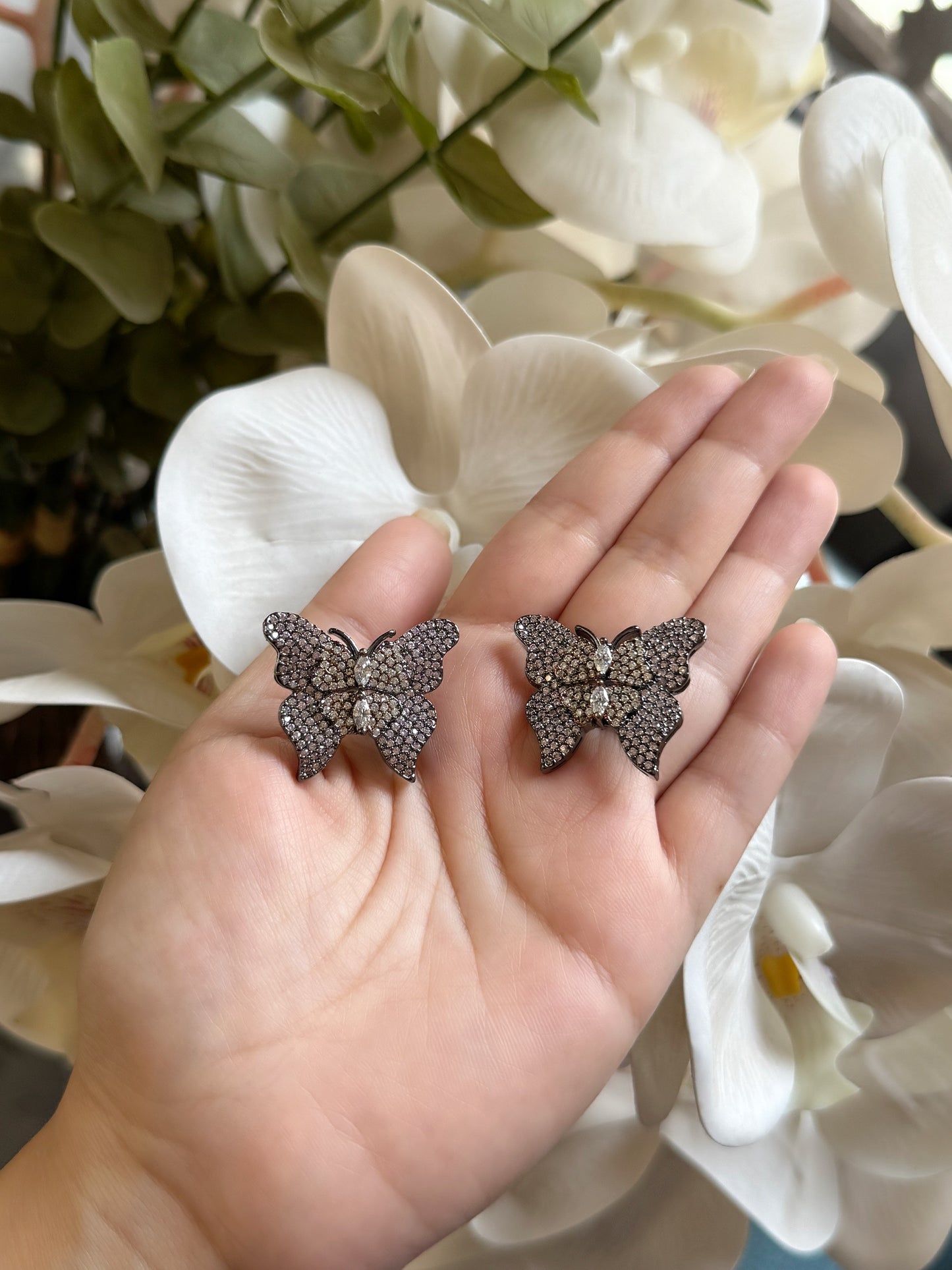 Whispering Wings