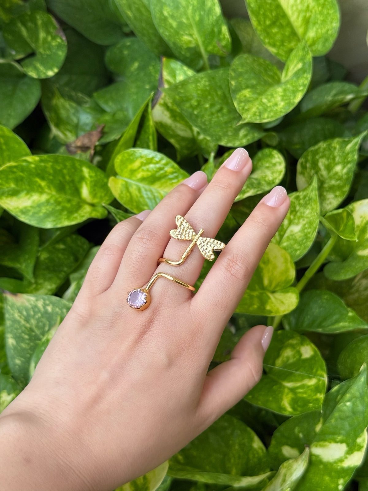 The dragonfly wrap