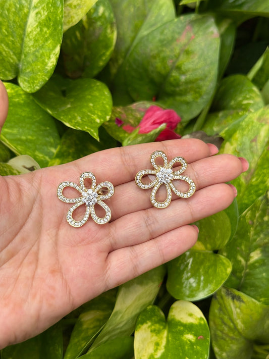 Daisy Dazzle
