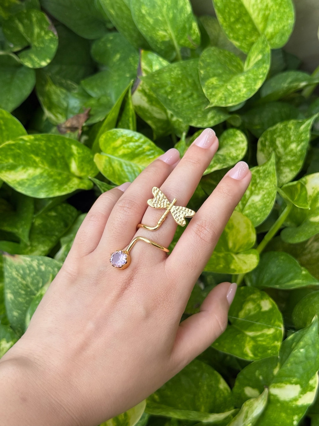 The Dragonfly Wrap