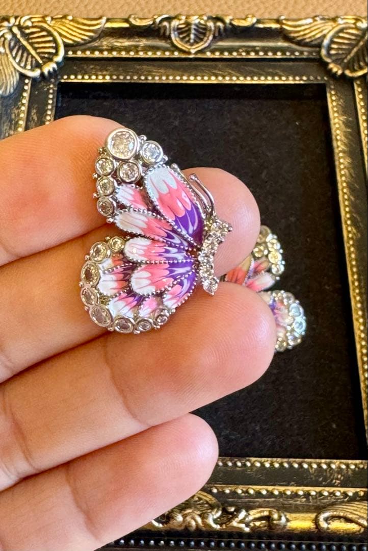 Enchanted wings